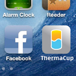 UX Interface Design